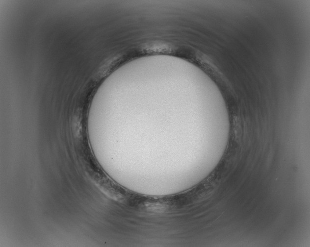 X0000080780259200701122129
