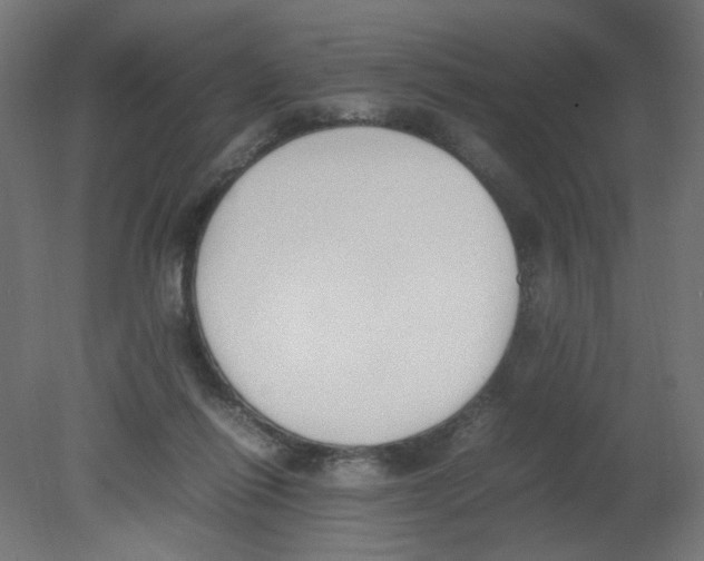 X0000080780262200701122129