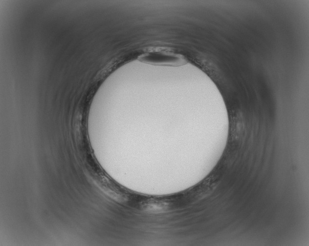 X0000080780263200701122129