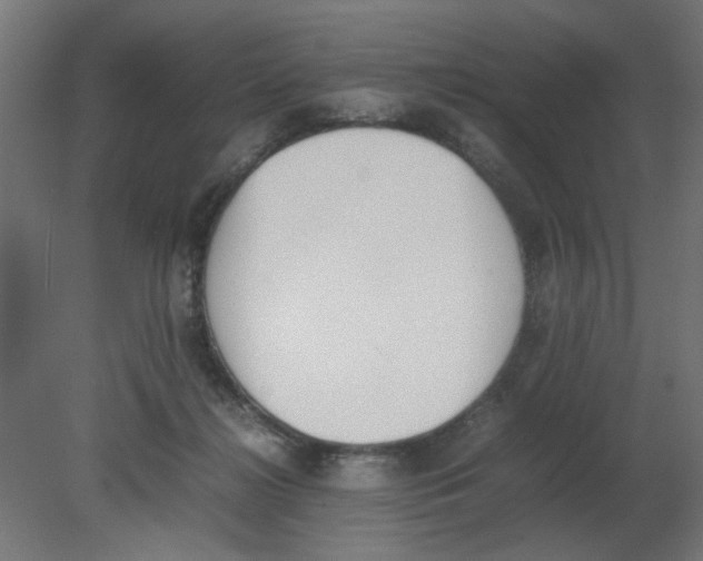 X0000080780268200701122129