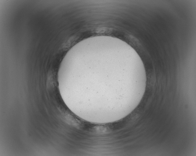 X0000080780272200701122129