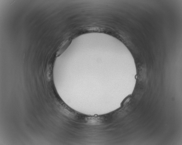 X0000080780273200701122129