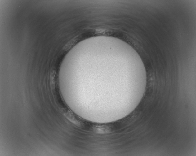 X0000080780275200701122129