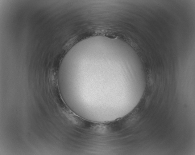 X0000080780276200701122129