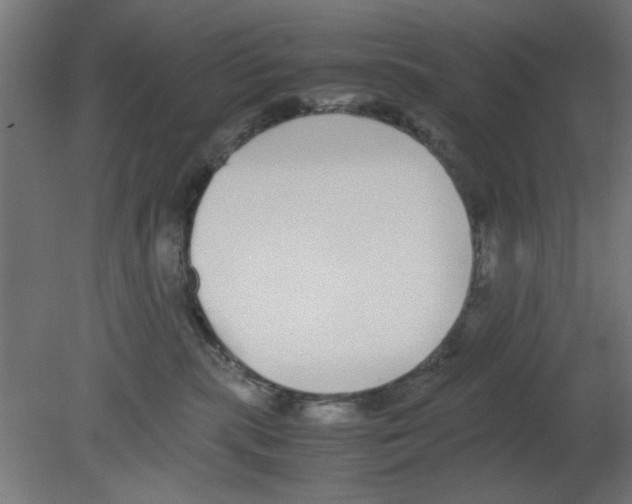 X0000080780283200701122129