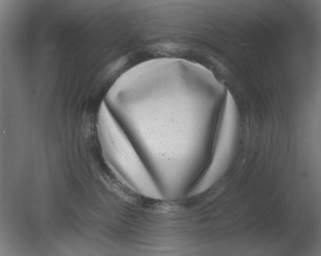 X0000080780284200701122129