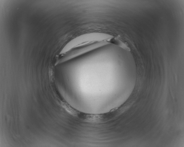 X0000080780288200701122130
