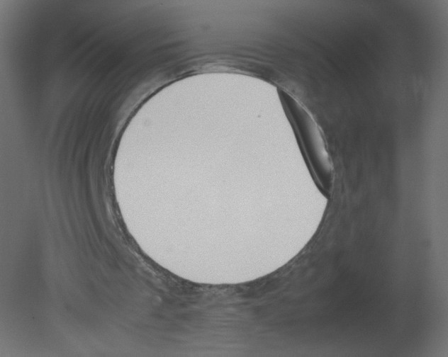 X0000080780289200701122129