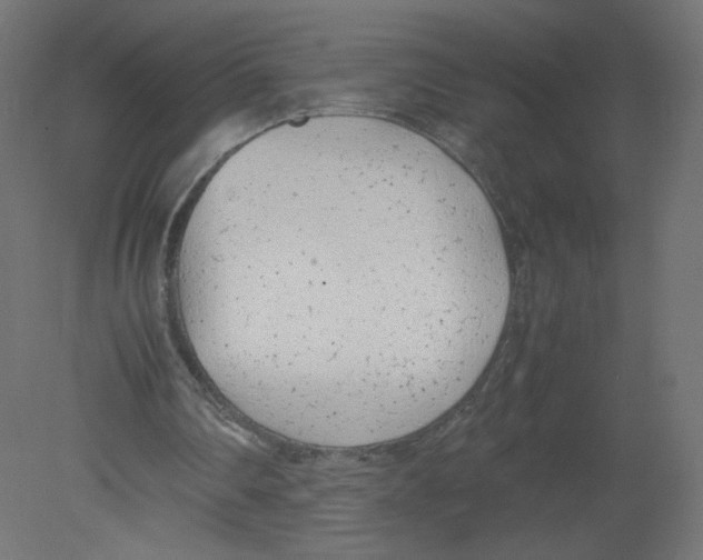 X0000080780290200701122129