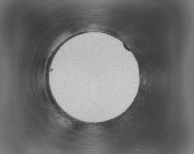 X0000080780292200701122129