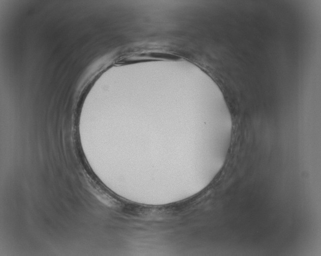 X0000080780293200701122129