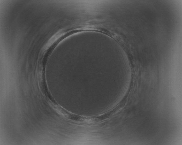 X0000080780295200701122129