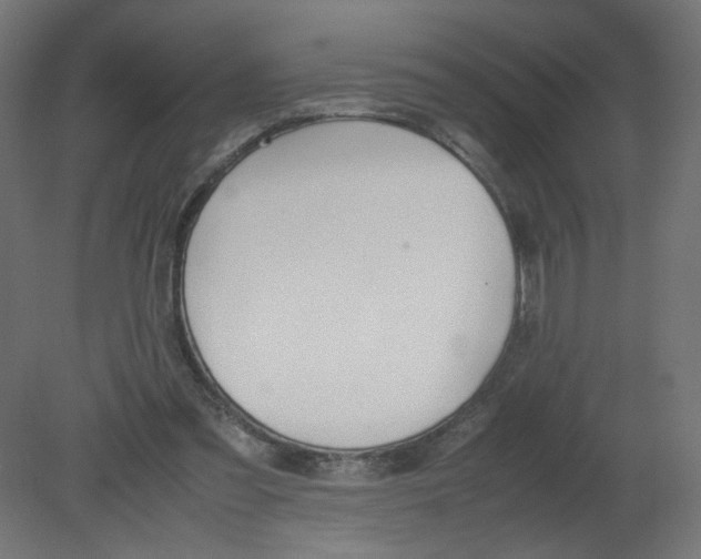 X0000080780301200701122129