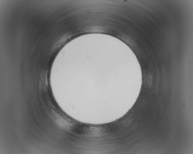 X0000080780302200701122129