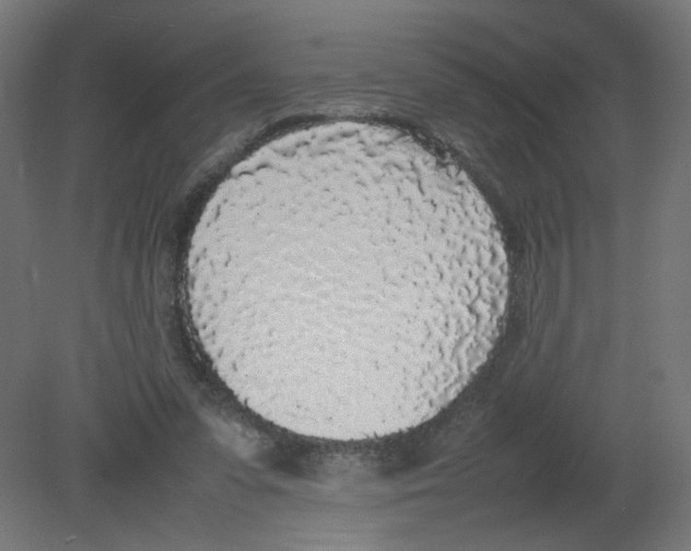 X0000080780303200701122129