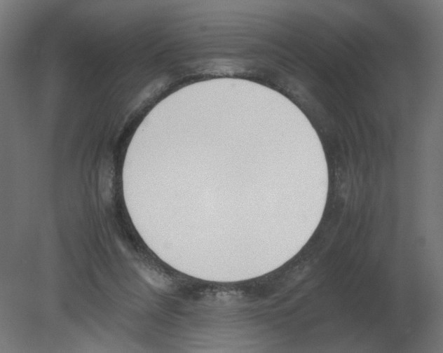 X0000080780304200701122128