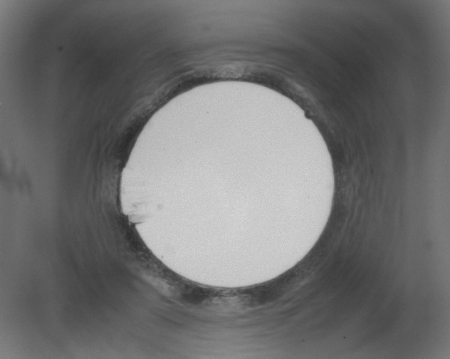 X0000080780307200701122128