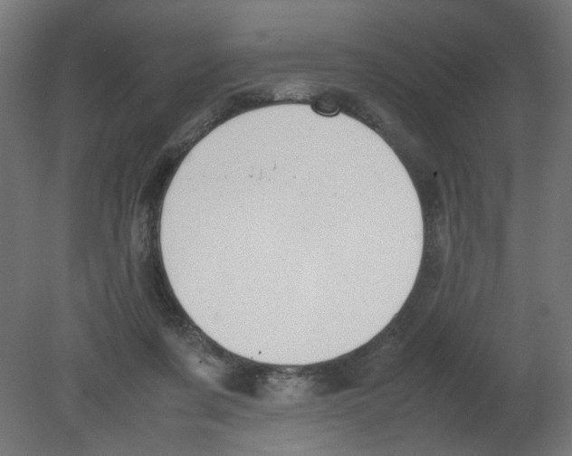 X0000080780311200701122128