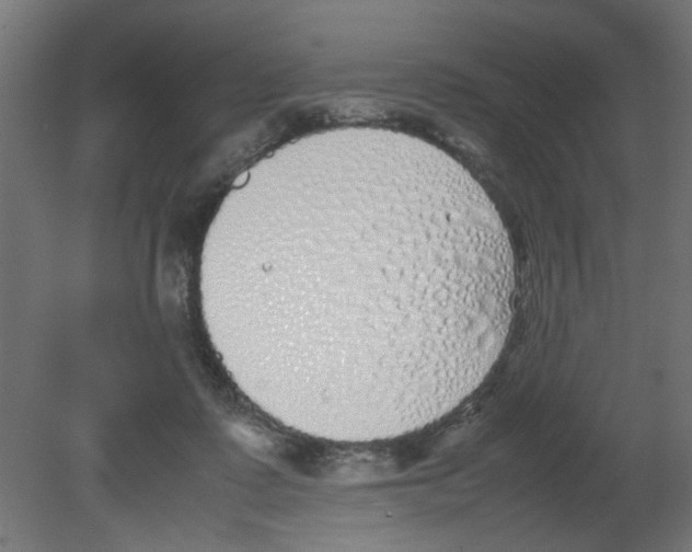 X0000080780315200701122128