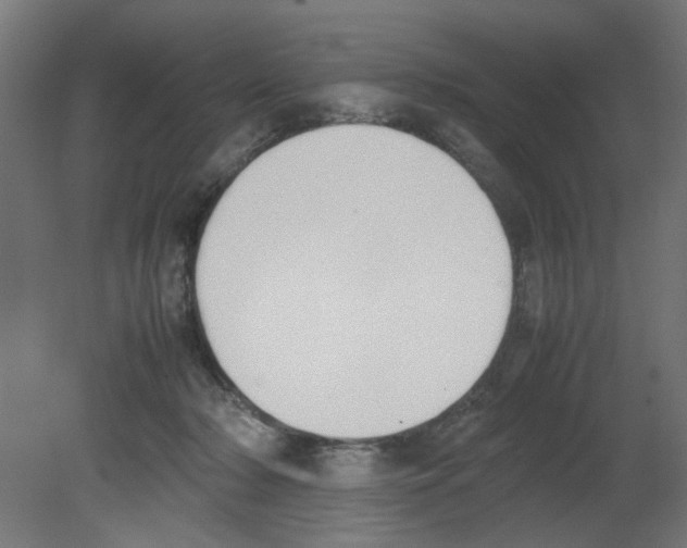 X0000080780318200701122128
