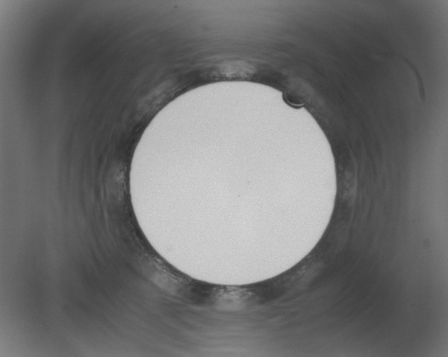 X0000080780321200701122128