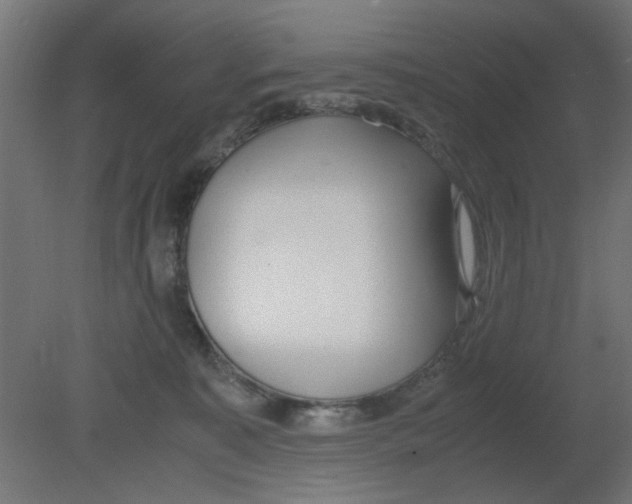 X0000080780323200701122128