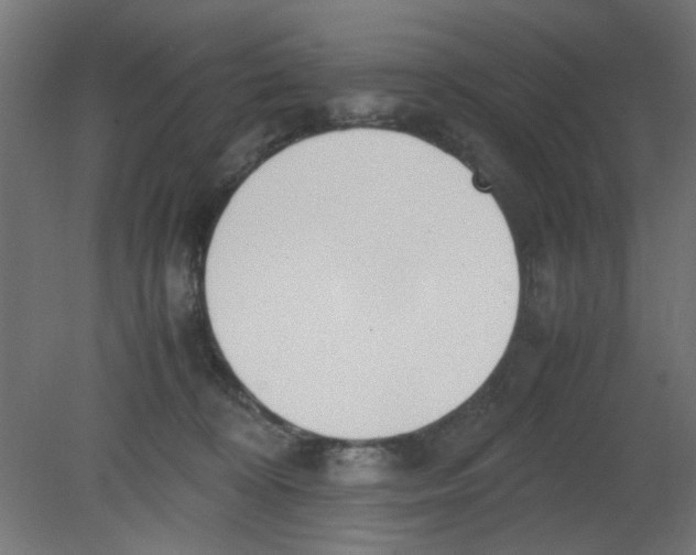 X0000080780324200701122128