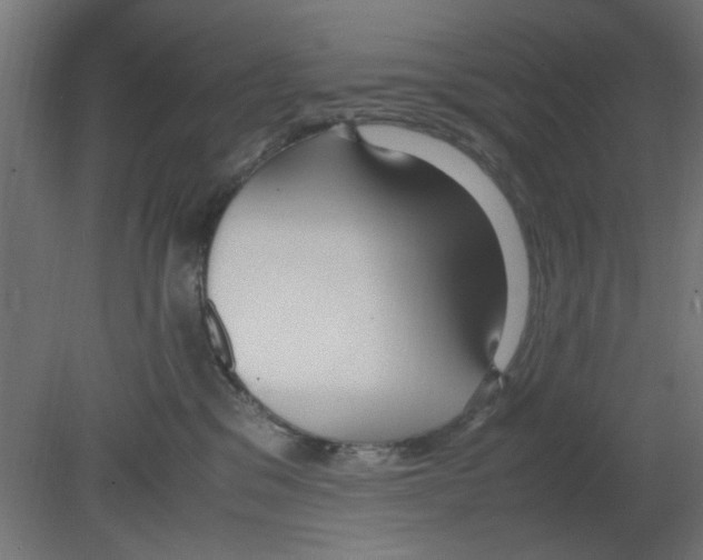 X0000080780329200701122128