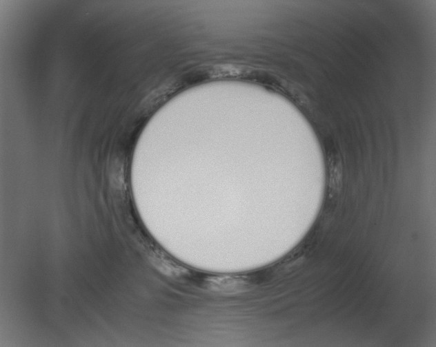 X0000080780331200701122128