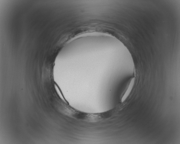 X0000080780333200701122128