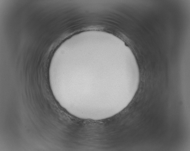X0000080780337200701122127