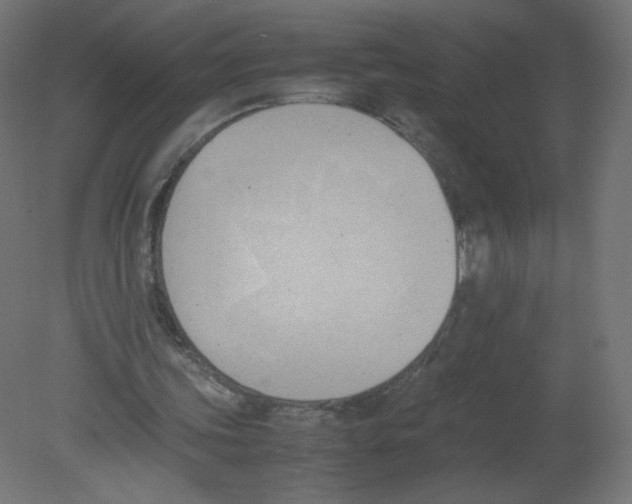 X0000080780339200701122127