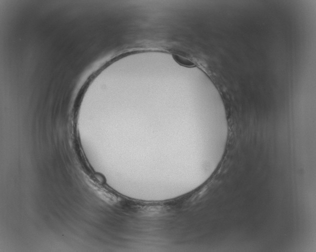 X0000080780342200701122127