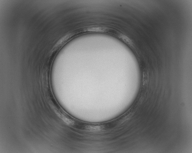 X0000080780349200701122127