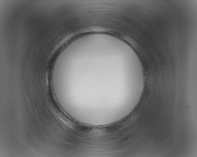 X0000080780350200701122127