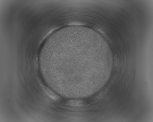 X0000080780351200701122127