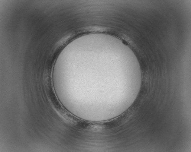 X0000080780352200701122127