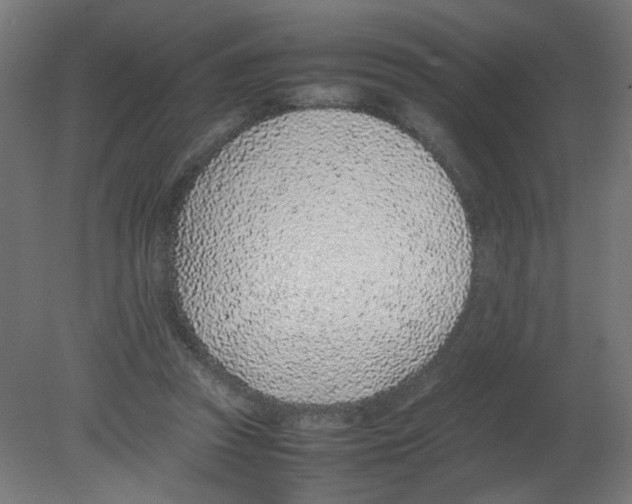 X0000080780353200701122127