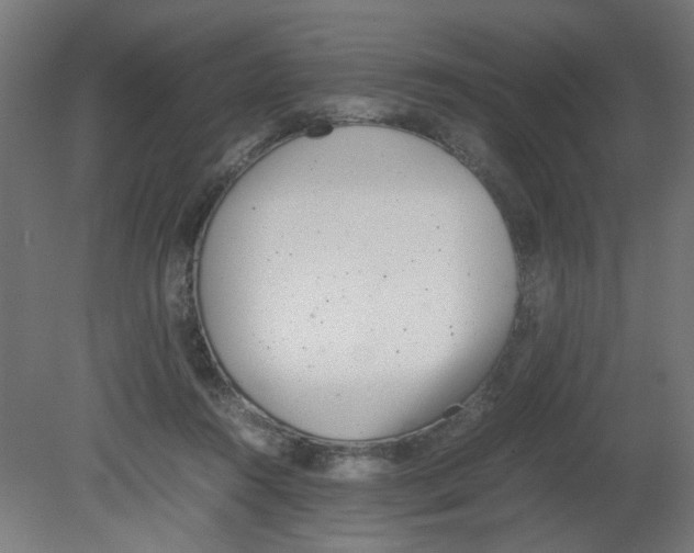 X0000080780360200701122128