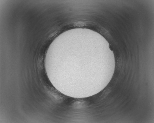 X0000080780364200701122128