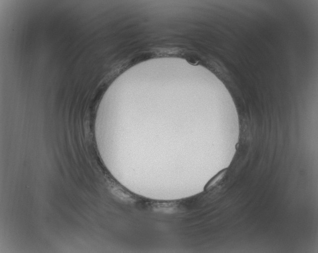 X0000080780377200701122128