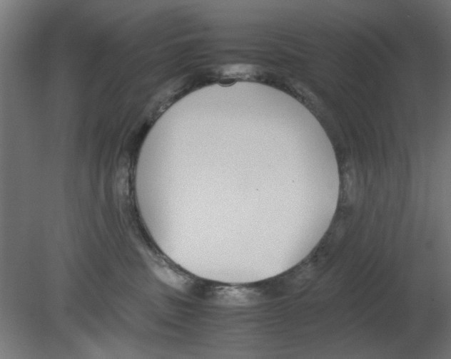 X0000080780379200701122128
