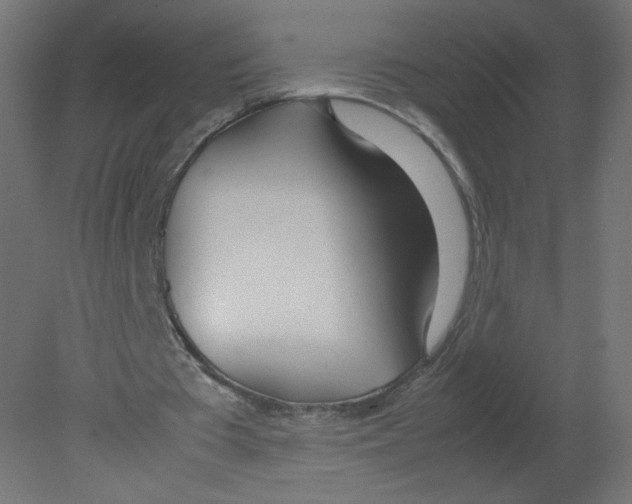 X0000080780385200701122127