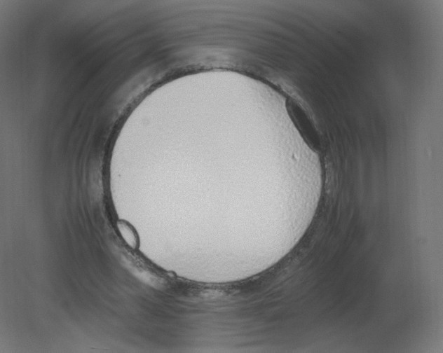 X0000080780390200701122127