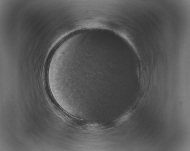 X0000080780391200701122127