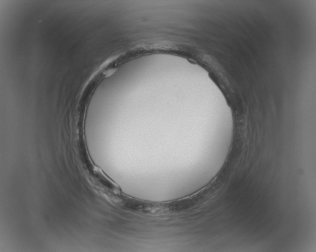 X0000080780395200701122127
