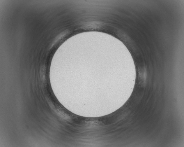 X0000080780396200701122127