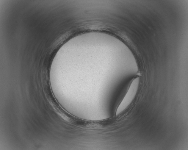 X0000080780397200701122127