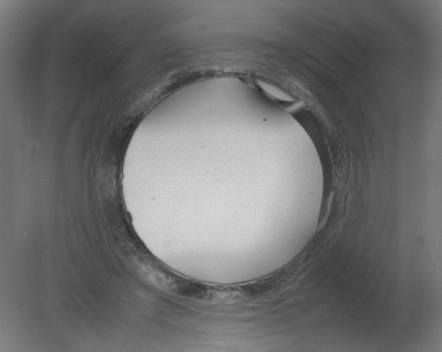 X0000080780401200701122127