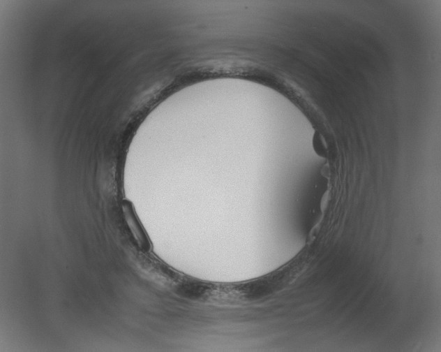 X0000080780403200701122127
